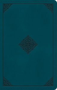 B-ESV GP PS RL DEEP TEAL