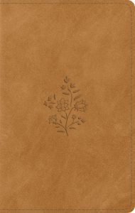 B-ESV GP PS RL NUBUCK