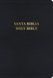 B-KJV BILINGUAL LP
