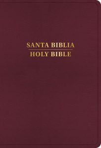 B-KJV BILINGUAL LP