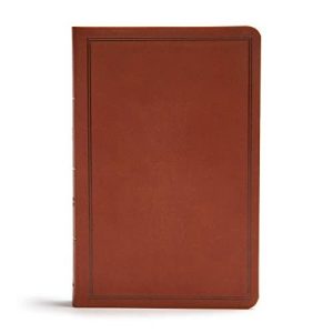 CSB Deluxe Gift Bible