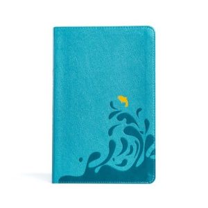 CSB Easy-for-Me Bible for Early Readers, Aqua Blue LeatherTouch