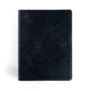 CSB Study Bible, Large Print, Digital Study Edition, Black LeatherTouch, Indexed