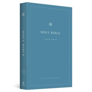ESV Economy Bible, Large Print (Paperback)