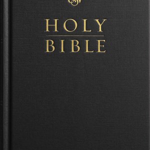 ESV Large Print Compact Bible (RL): 9798874902919