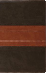 ESV Thinline Bible (TruTone, Espresso)