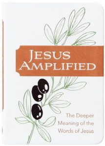 Jesus Amplified: The Deeper Meaning of the Words of Jesus