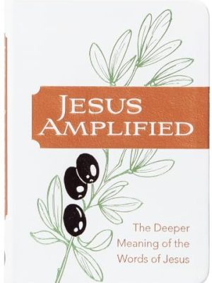 Jesus Amplified: The Deeper Meaning of the Words of Jesus