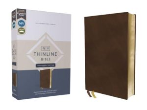 NIV Thinline Bible Passaggio Setting, Comfort Print--soft leather-look, brown